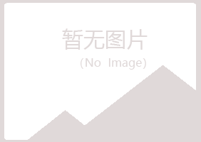 吉林丰满冰夏能源有限公司